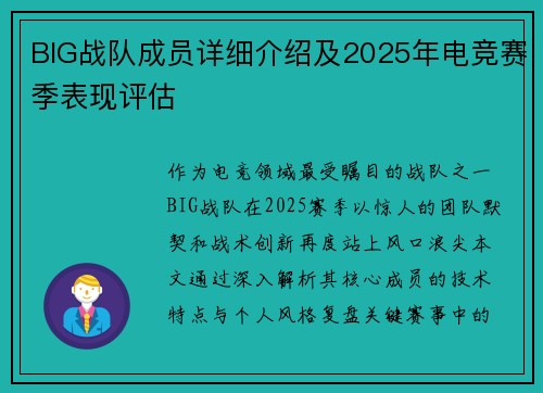 BIG战队成员详细介绍及2025年电竞赛季表现评估