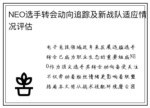 NEO选手转会动向追踪及新战队适应情况评估